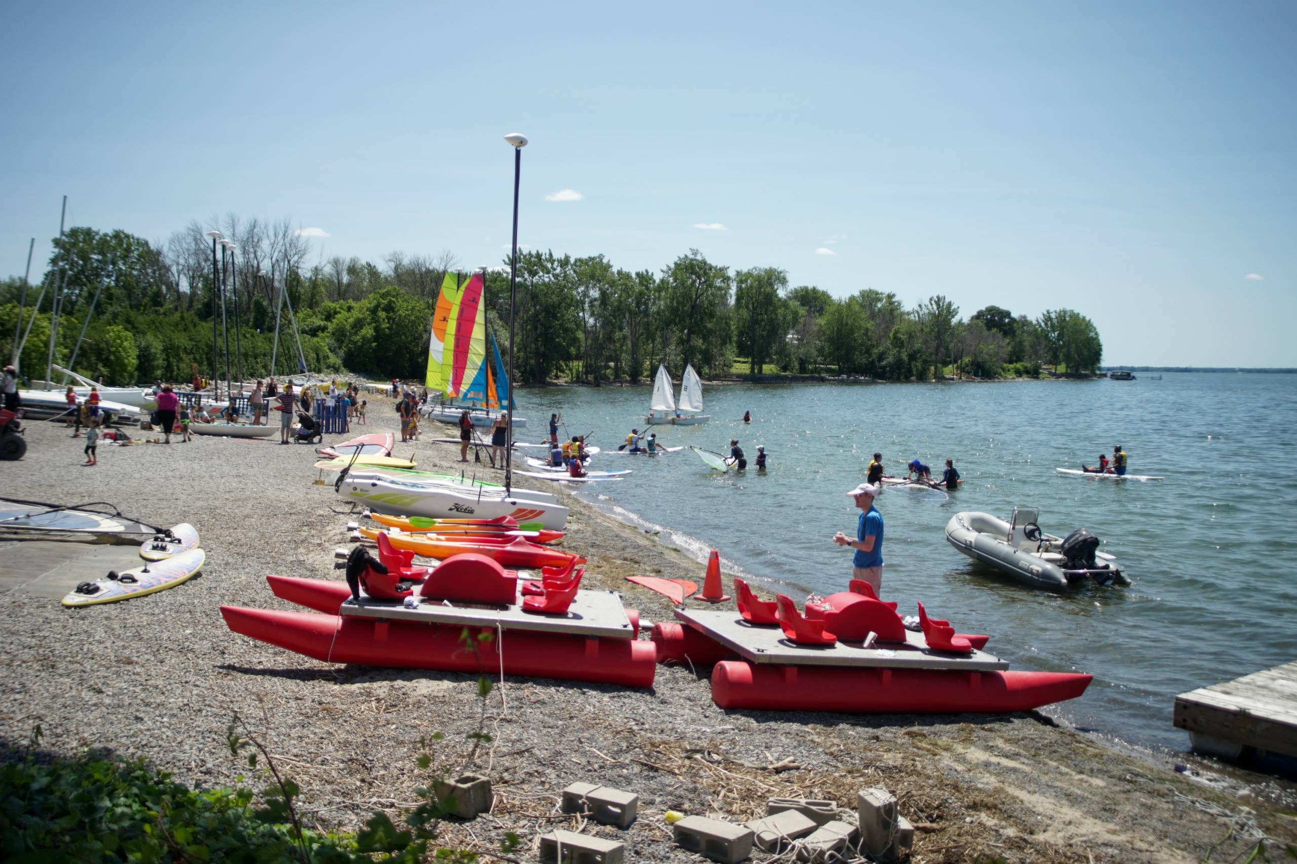 Un chien fan de Zumba