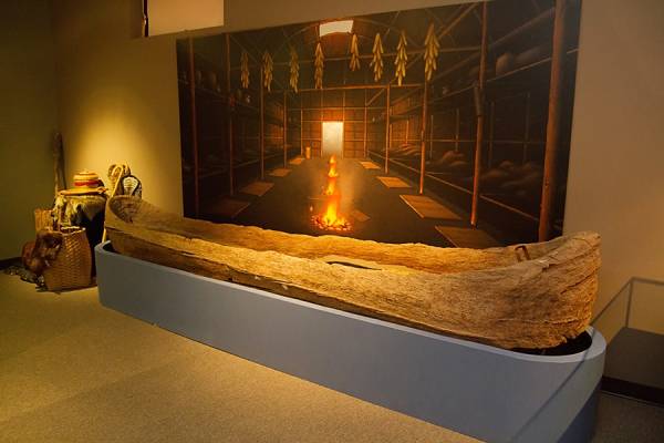 Aimeriez-vous voir ça dans votre cour?