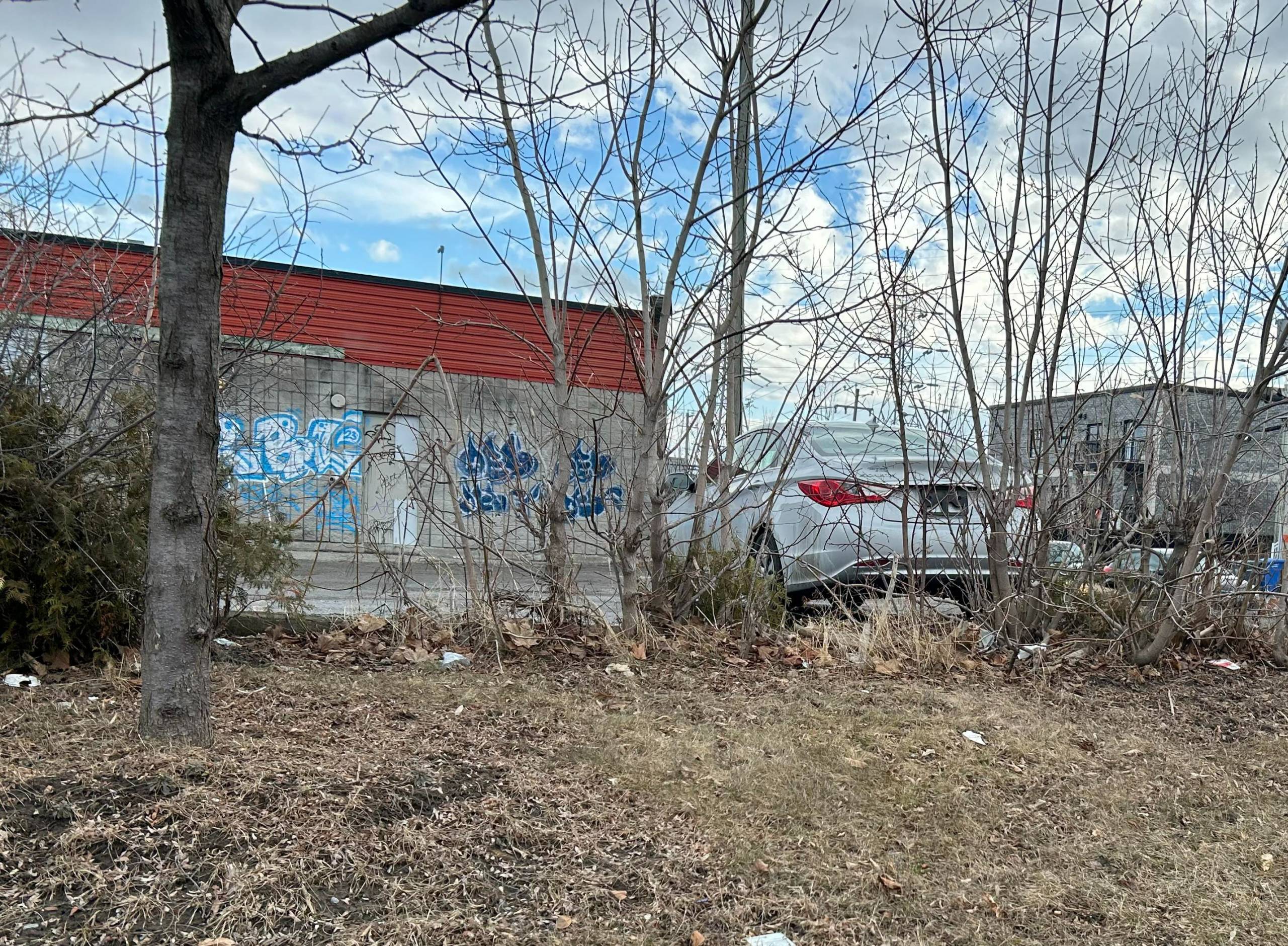Le teckel arbore un manteau de pluie