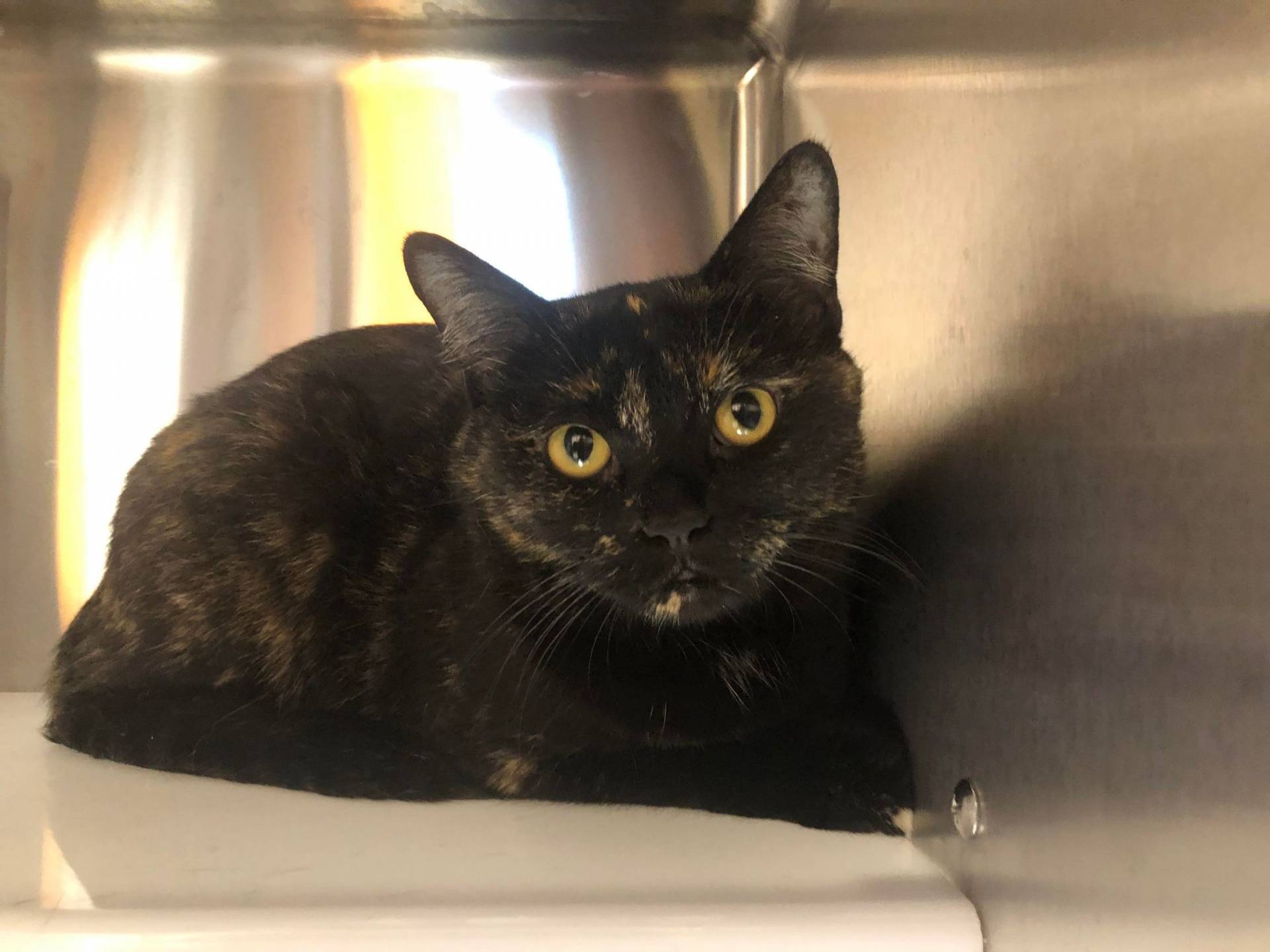 Un bon truc pour traverser la rue