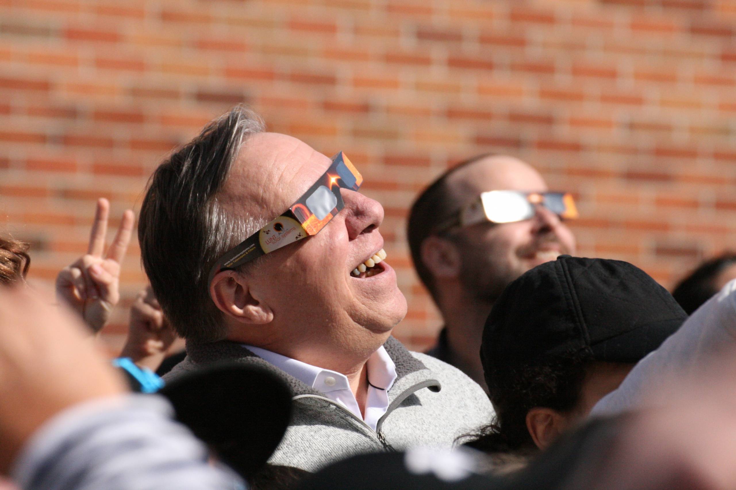 Comment tuer un moustique