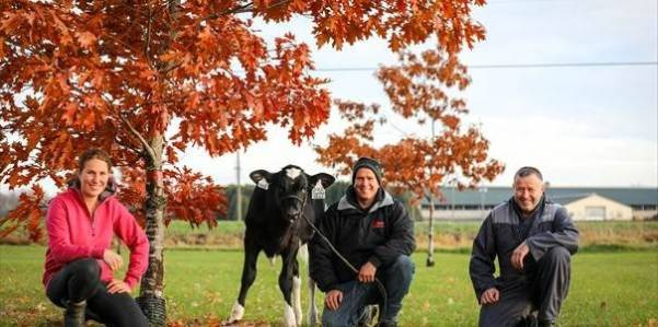 Pour protéger nos bouteilles dans notre valise en avion