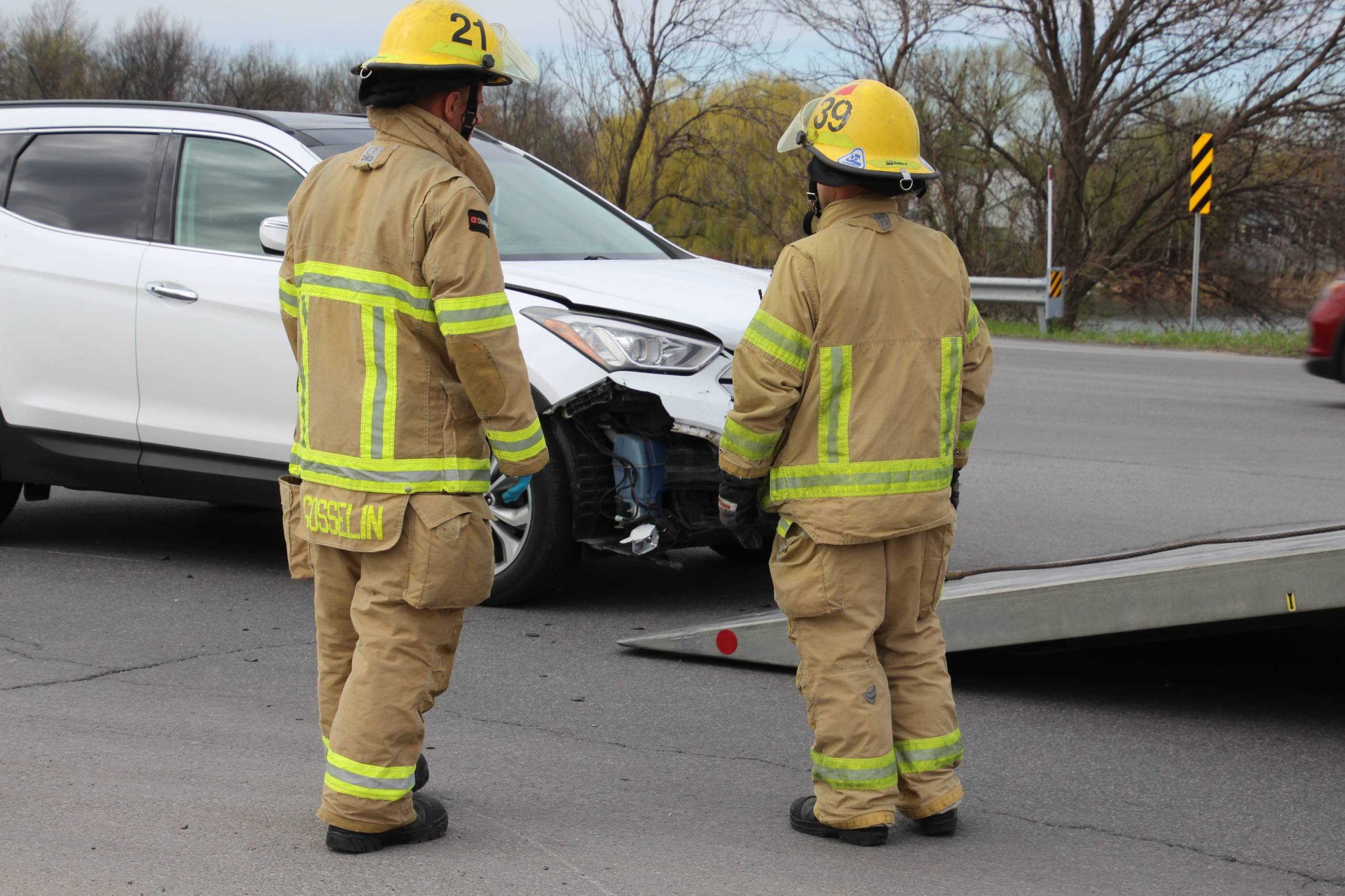 C’est l’heure de la visite des ours!