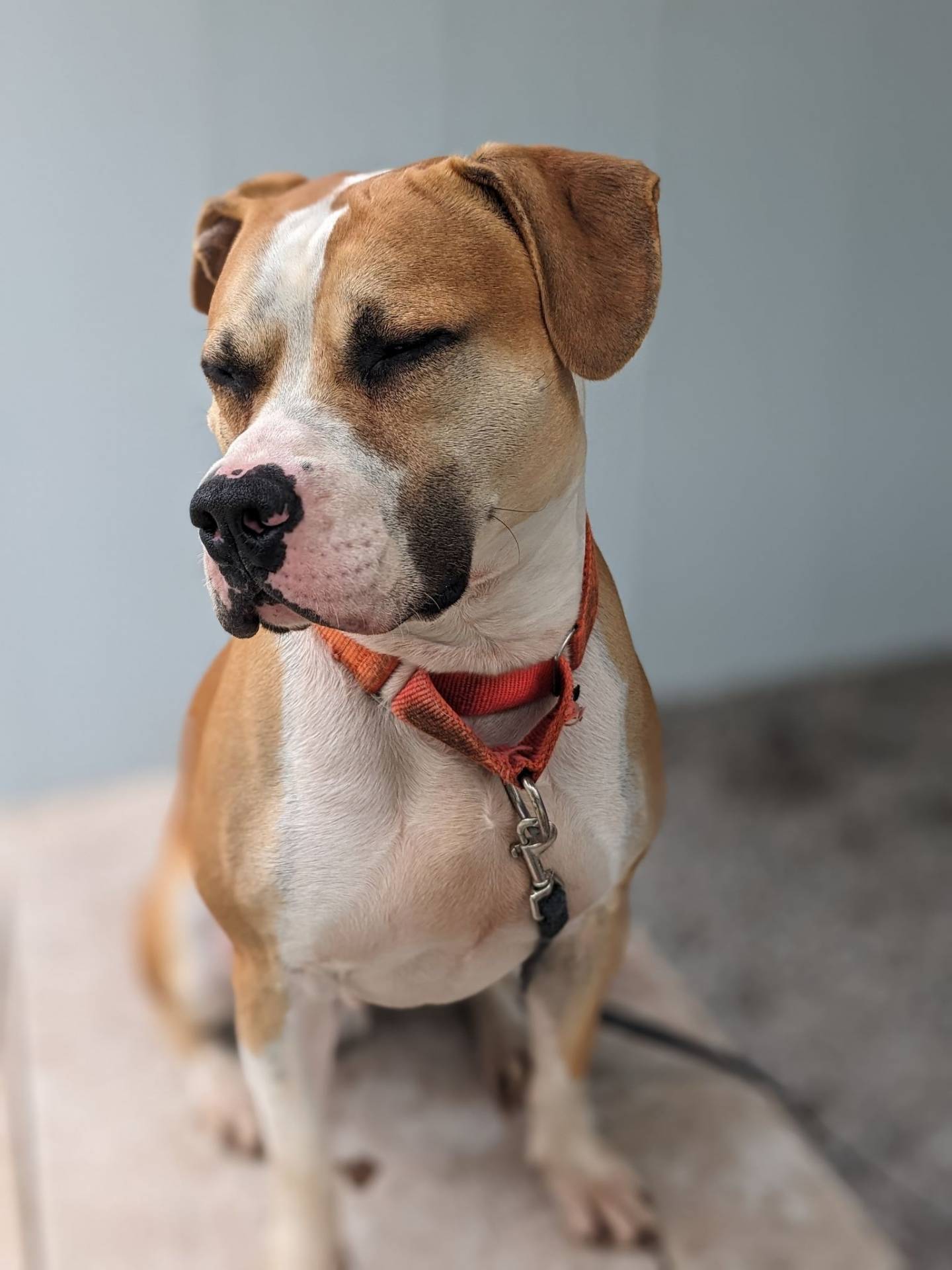 ExpressVPN: Le VPN reconnu pour sa protection et confidentialité