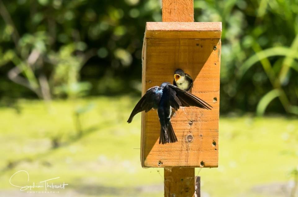 J&rsquo;aurais fait demi-tour!