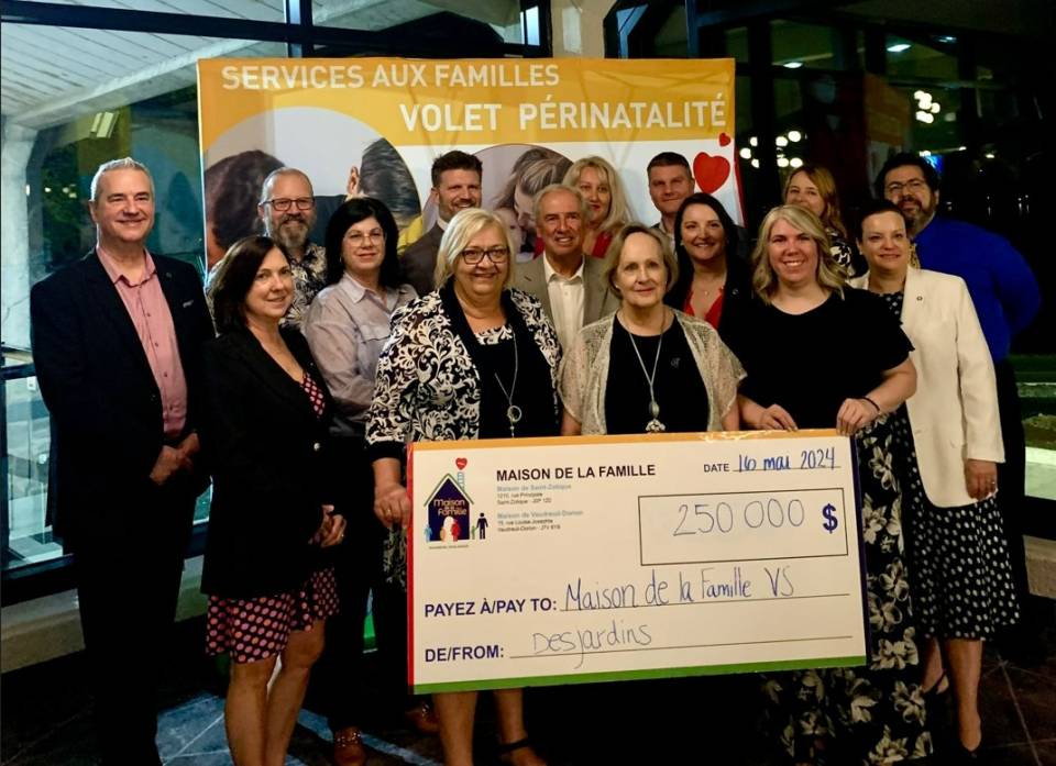 Un chaton adopte une vache