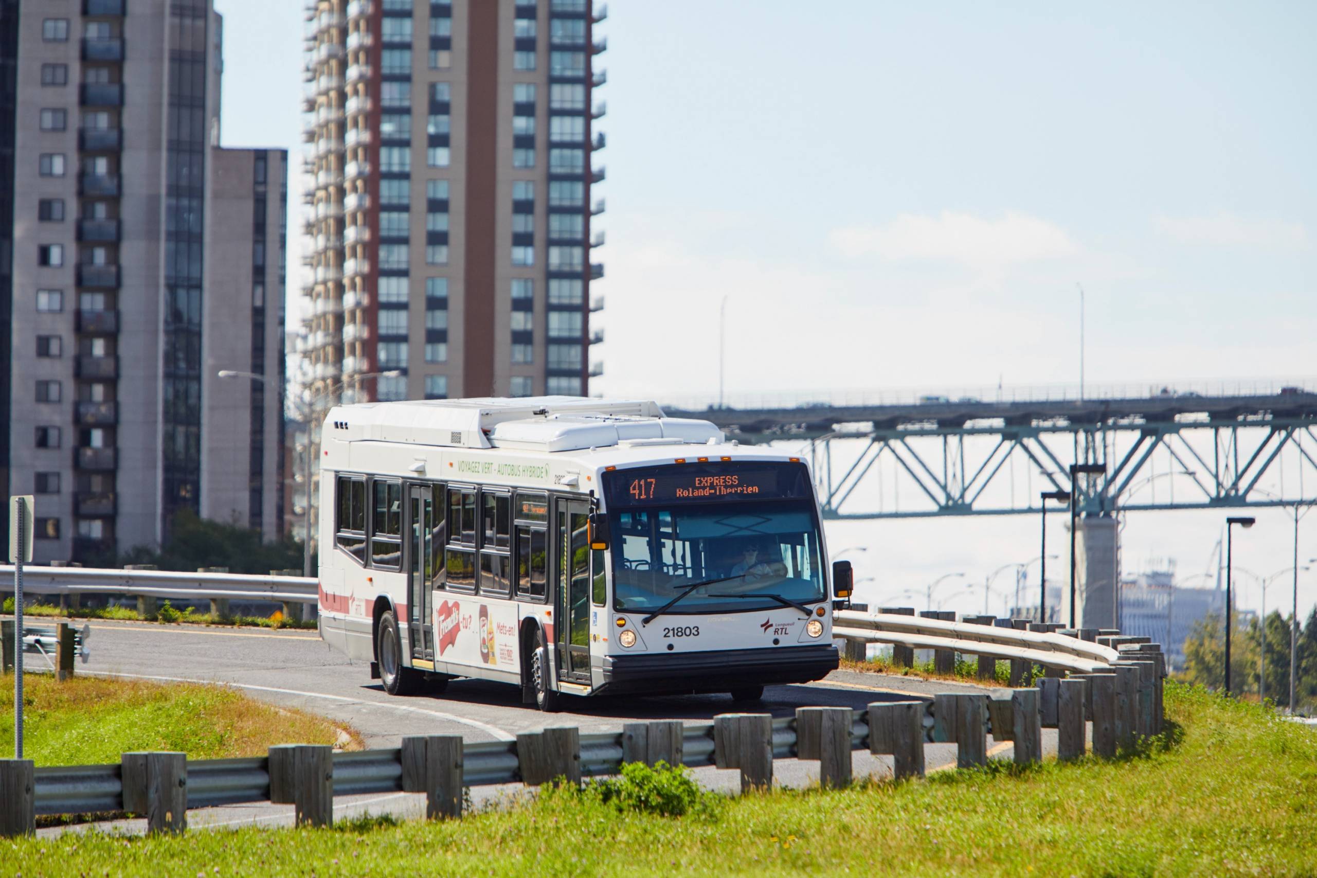 Quand la tortue te juge