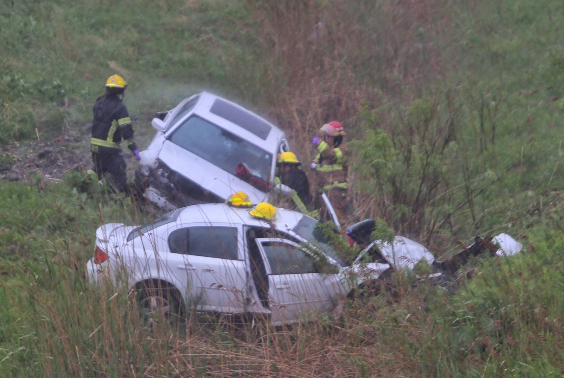 Des chèvres heureuses grignotent des broussailles