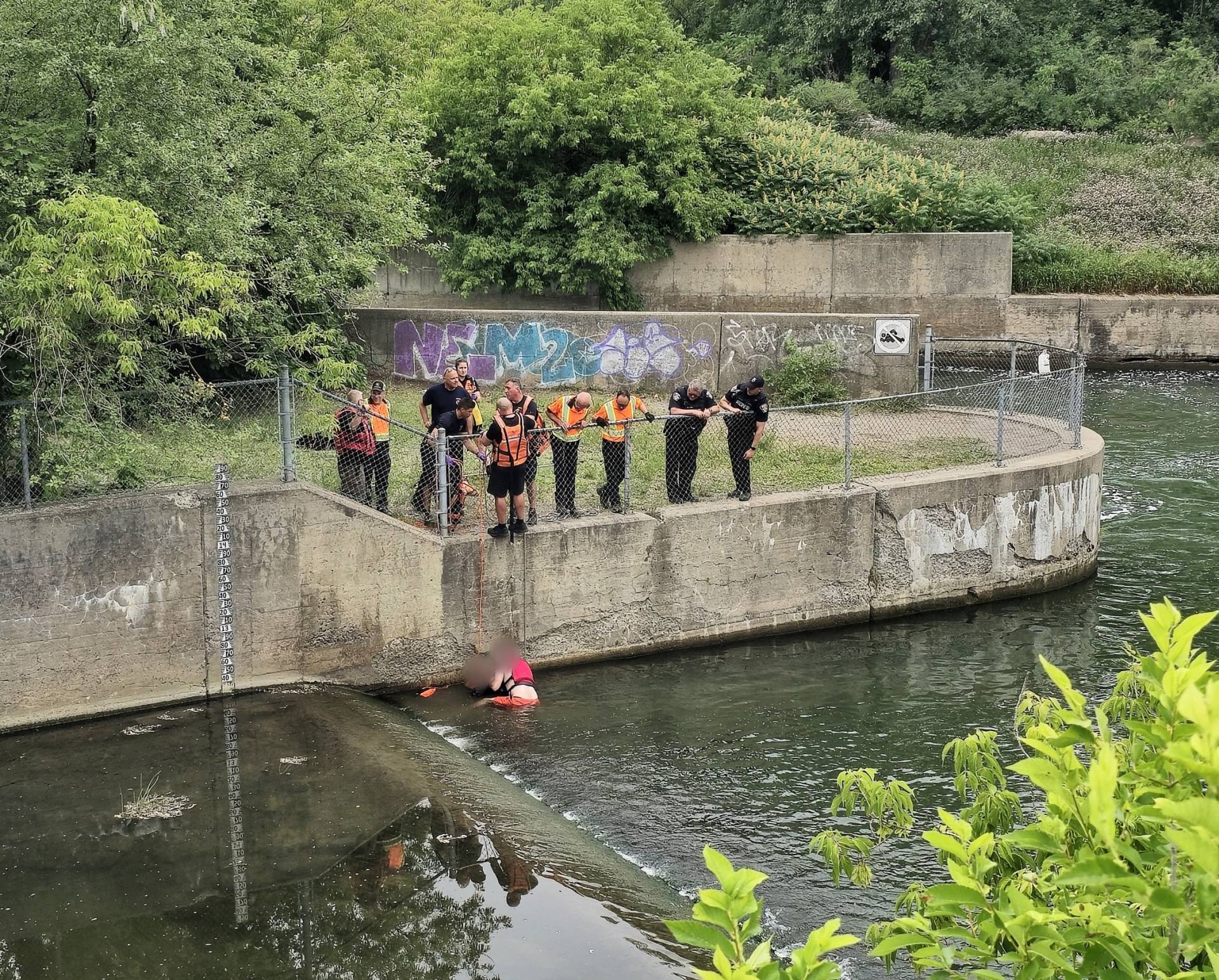 Une citrouille qui accouche d’un bébé citrouille