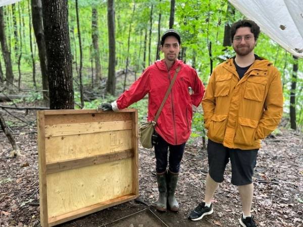 Des chiens qui parlent… non, qui hurlent!