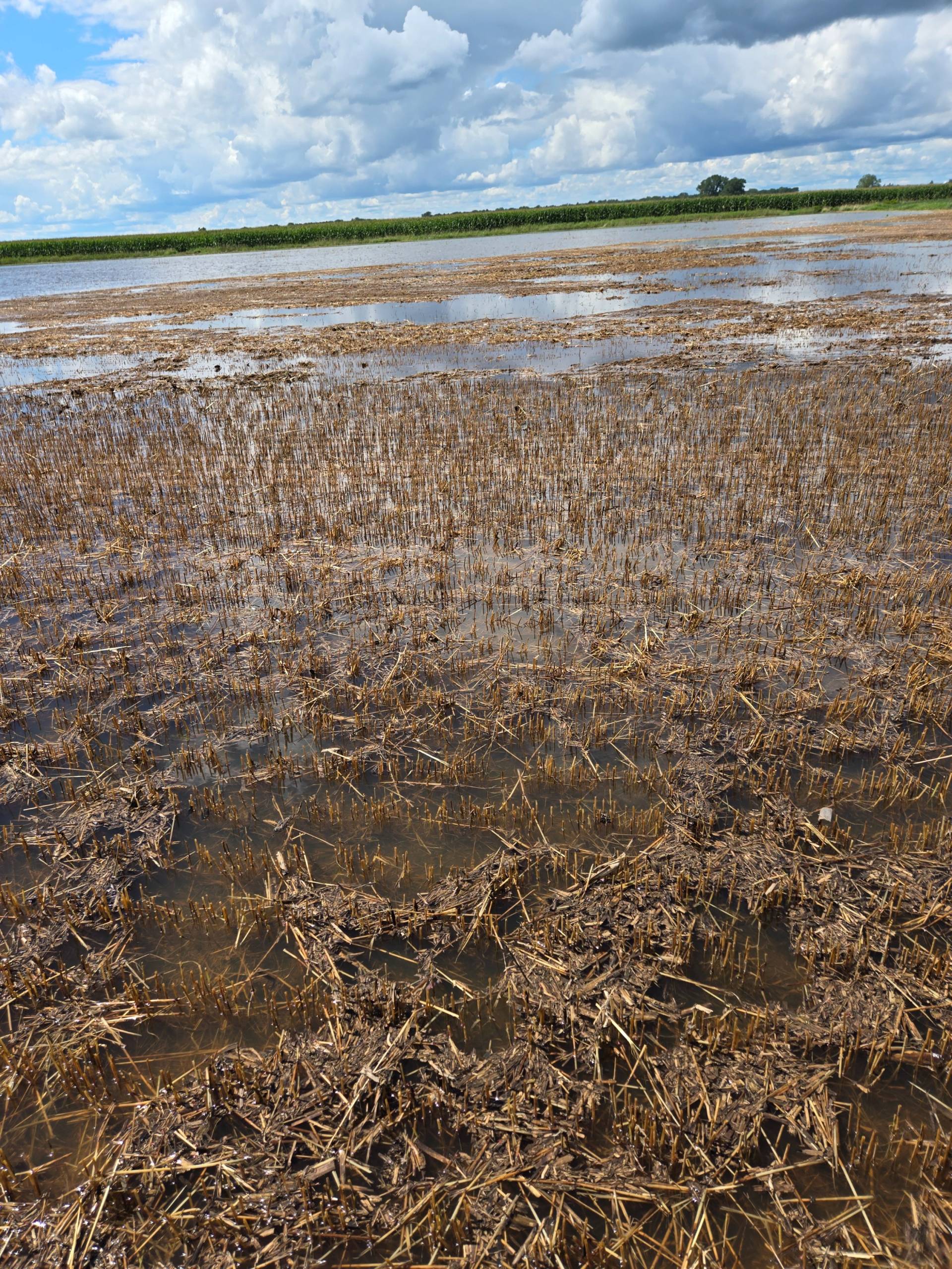 Microsoft annonce la fin de Skype