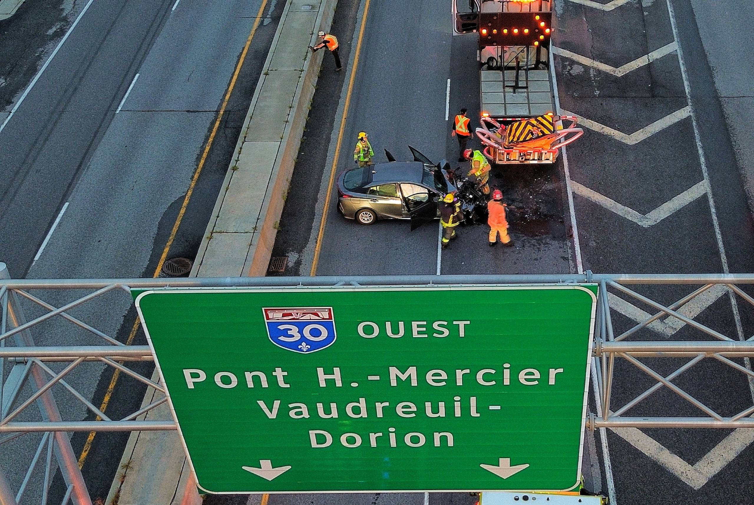 Ce chat est motivé à s&rsquo;entraîner