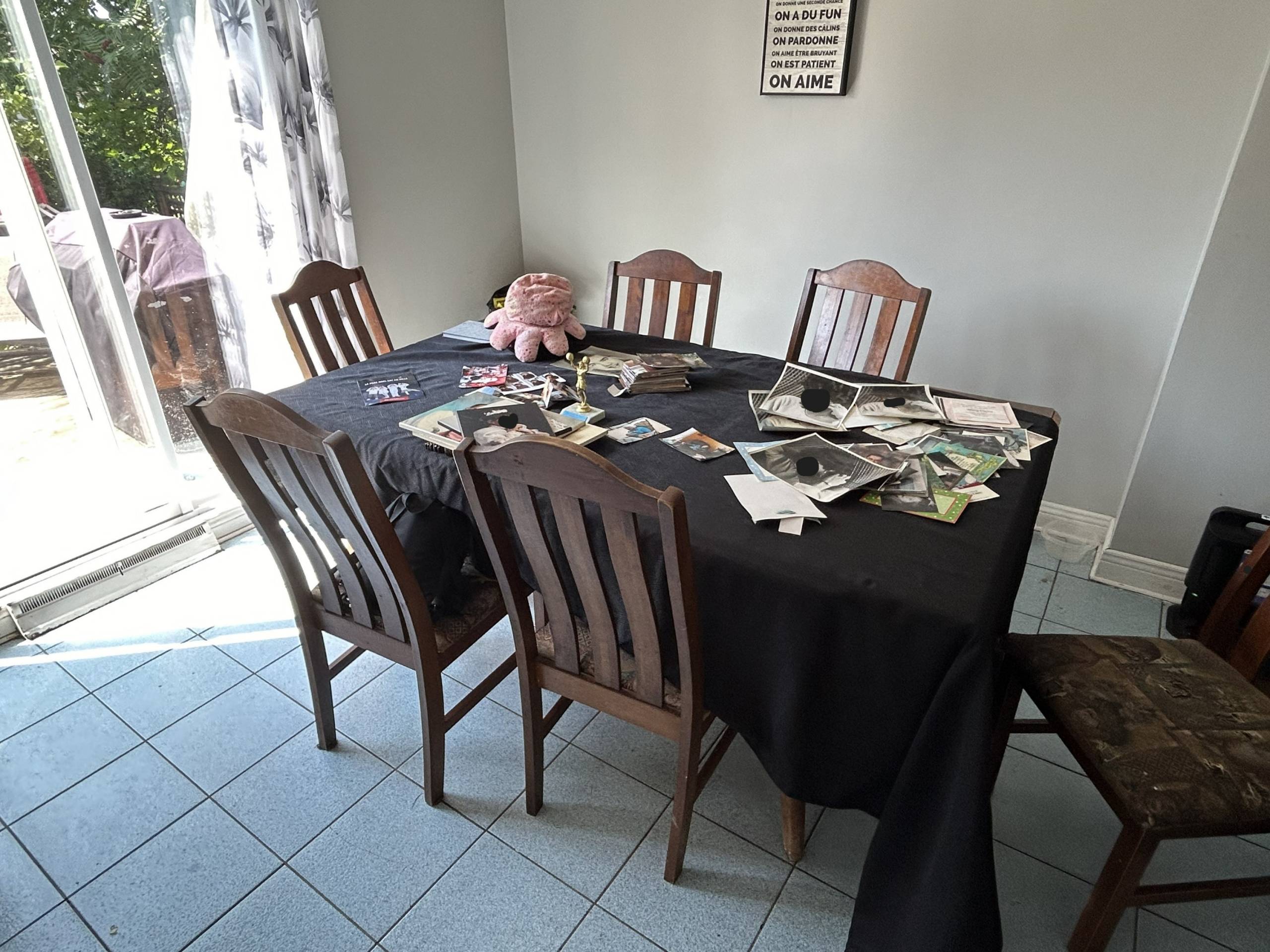 Les bouledogues ne peuvent pas freiner dans la neige