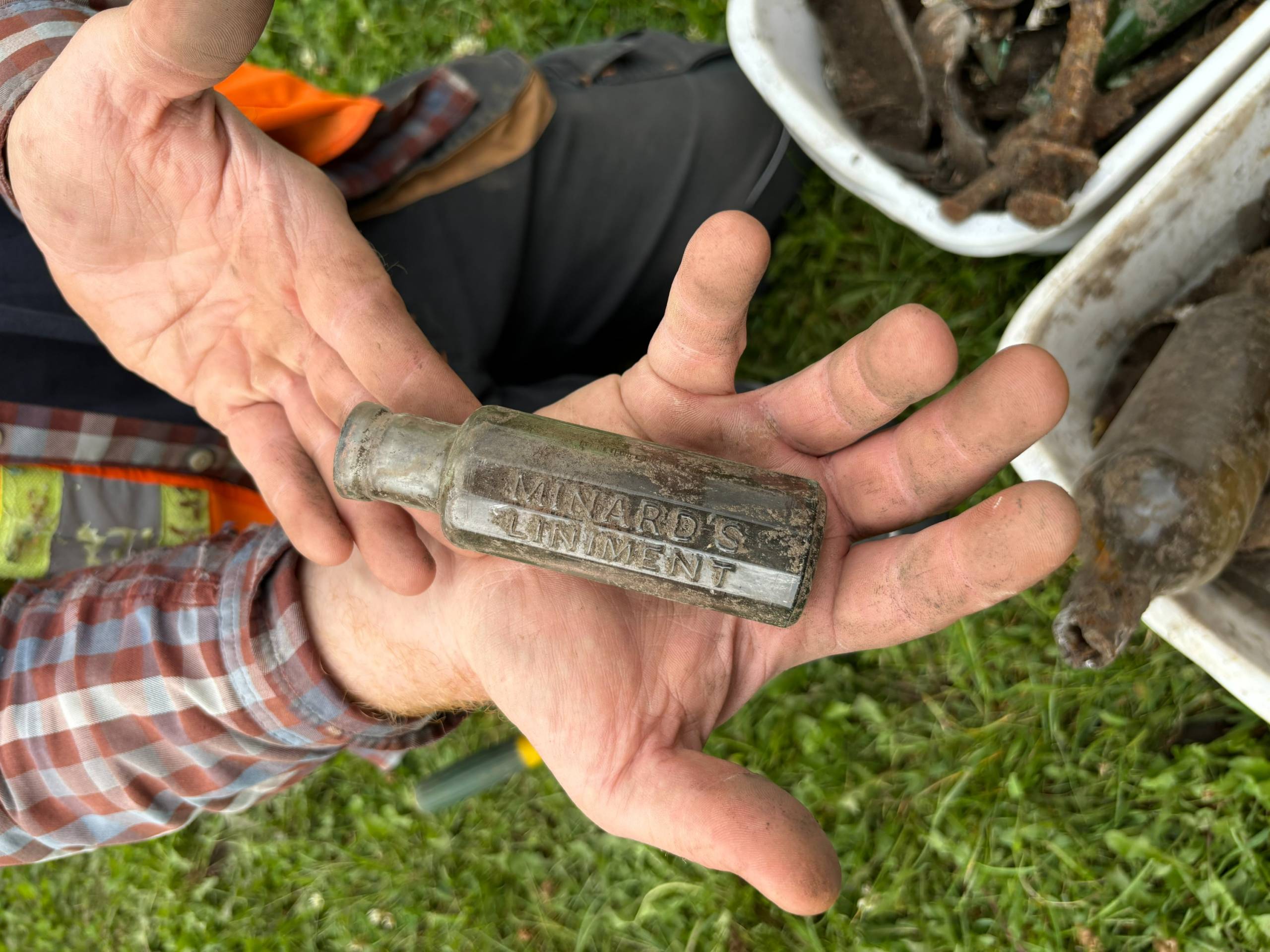 Une tortue et un chien partagent un repas
