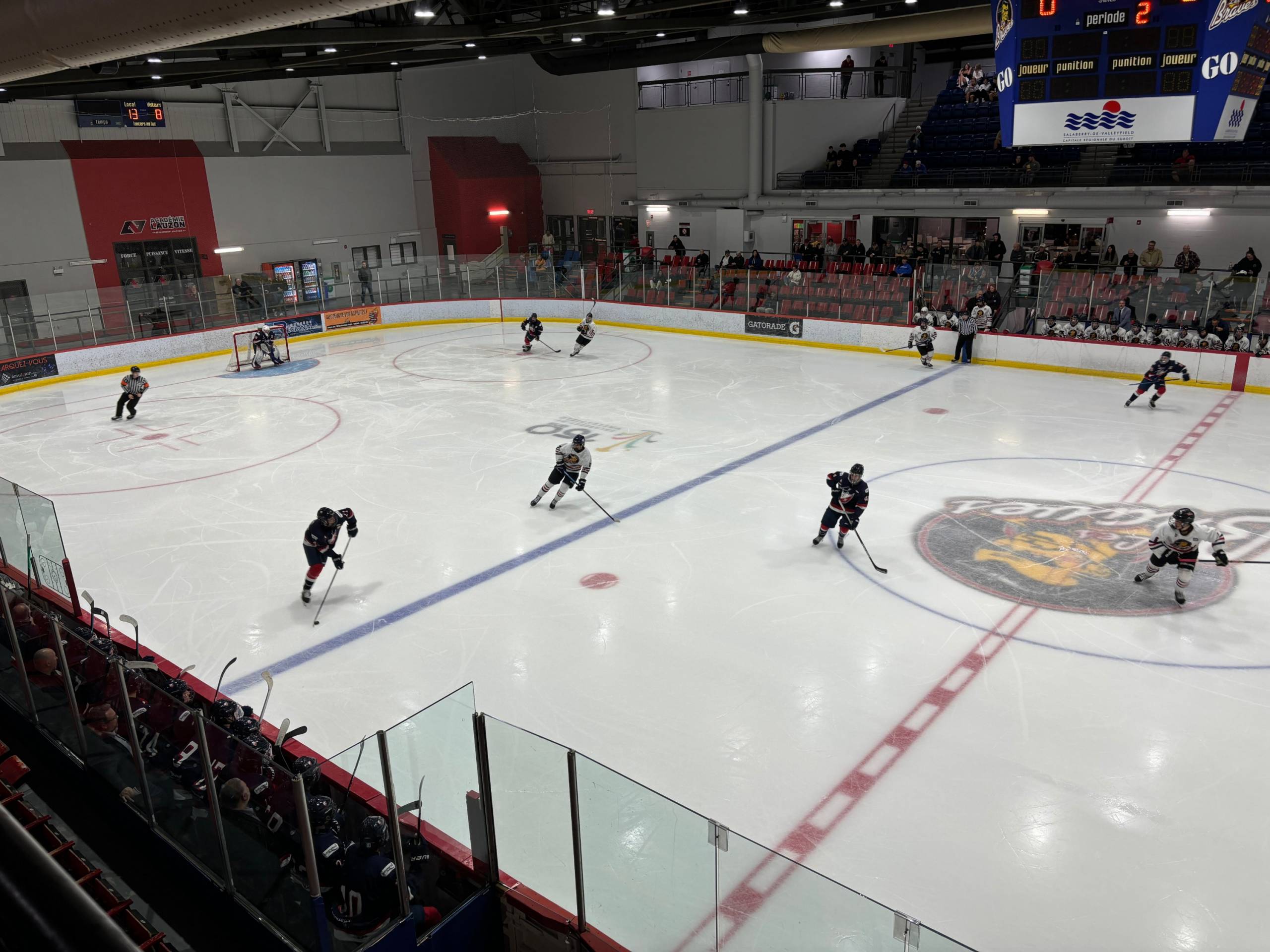 Un berger australien tente de grimper sur un toboggan
