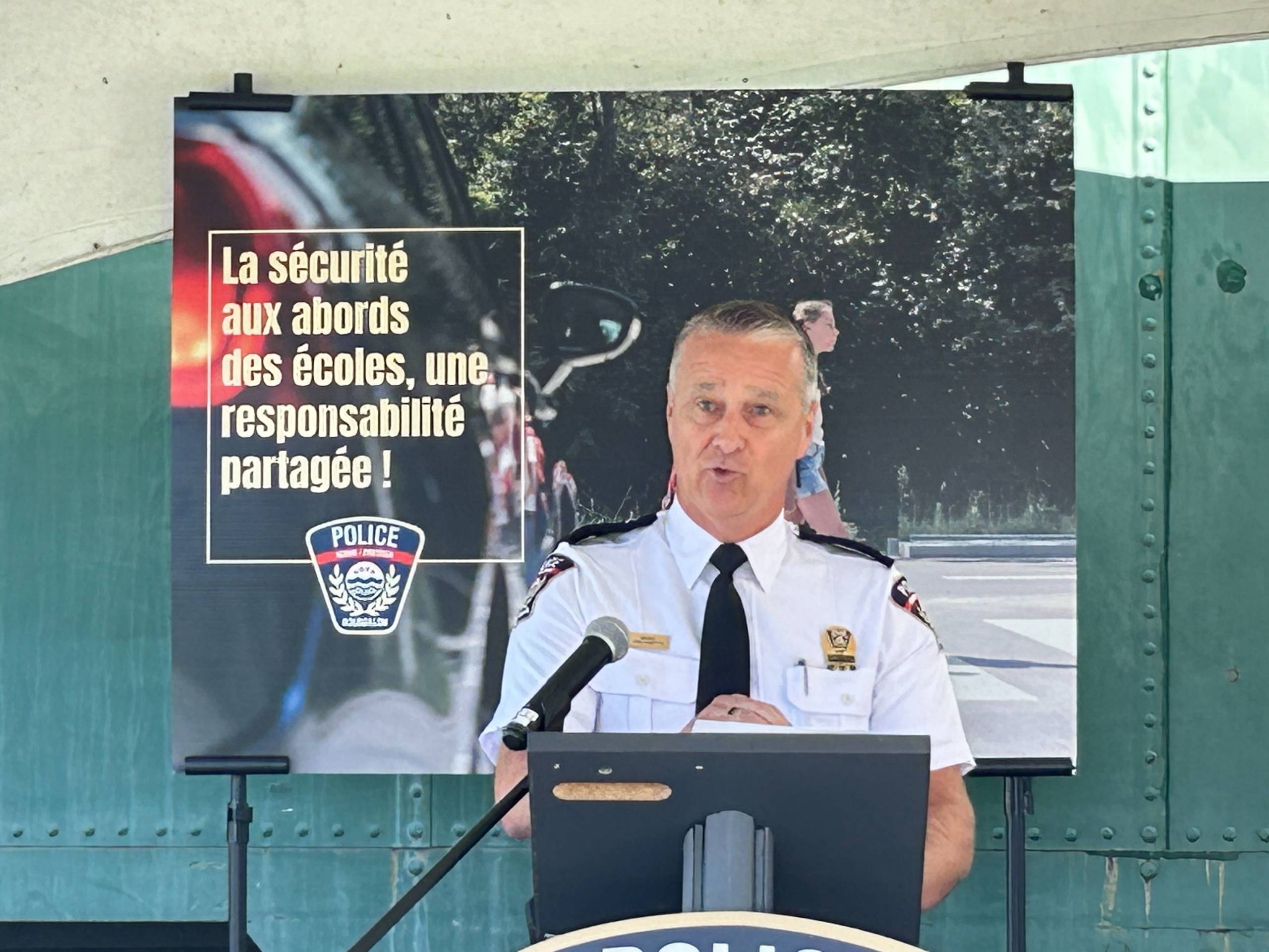 Les cerfs savent comment utiliser les passages pour piétons en toute sécurité