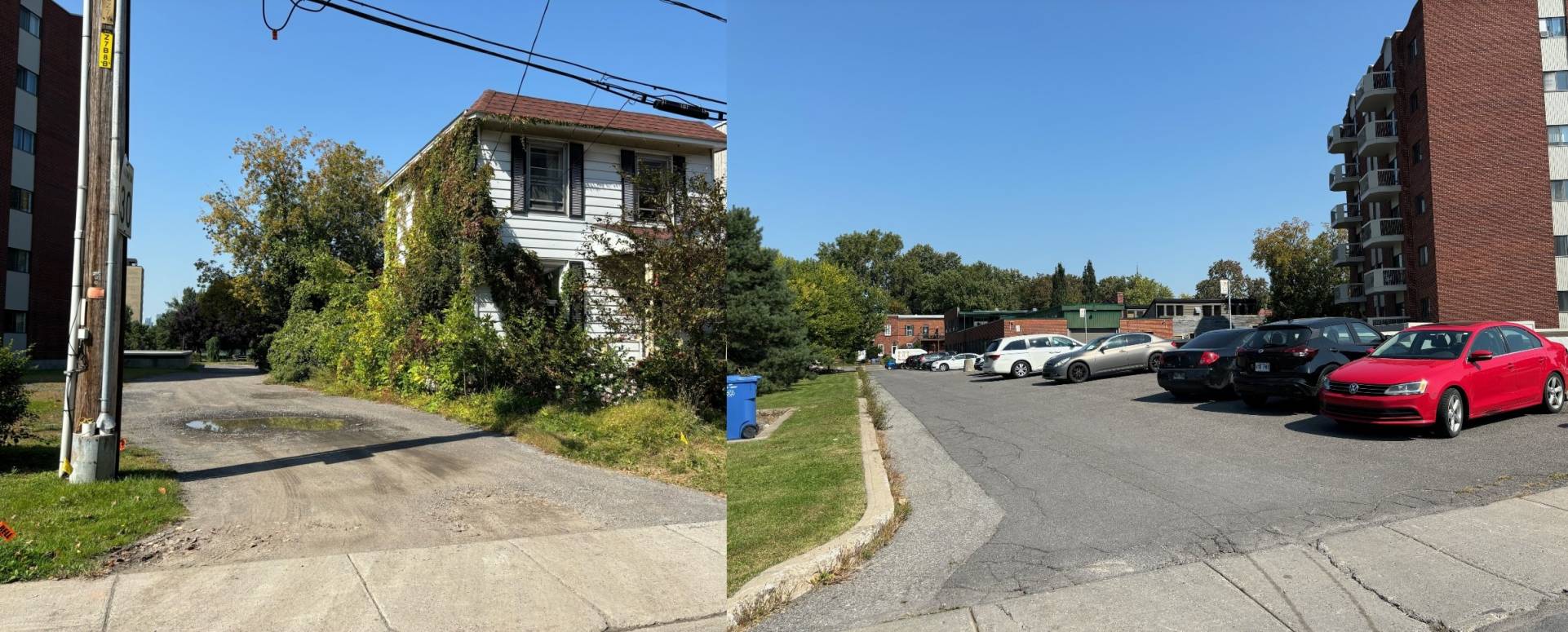 Un chat fait des manœuvres d’évitement lorsqu’il est repéré