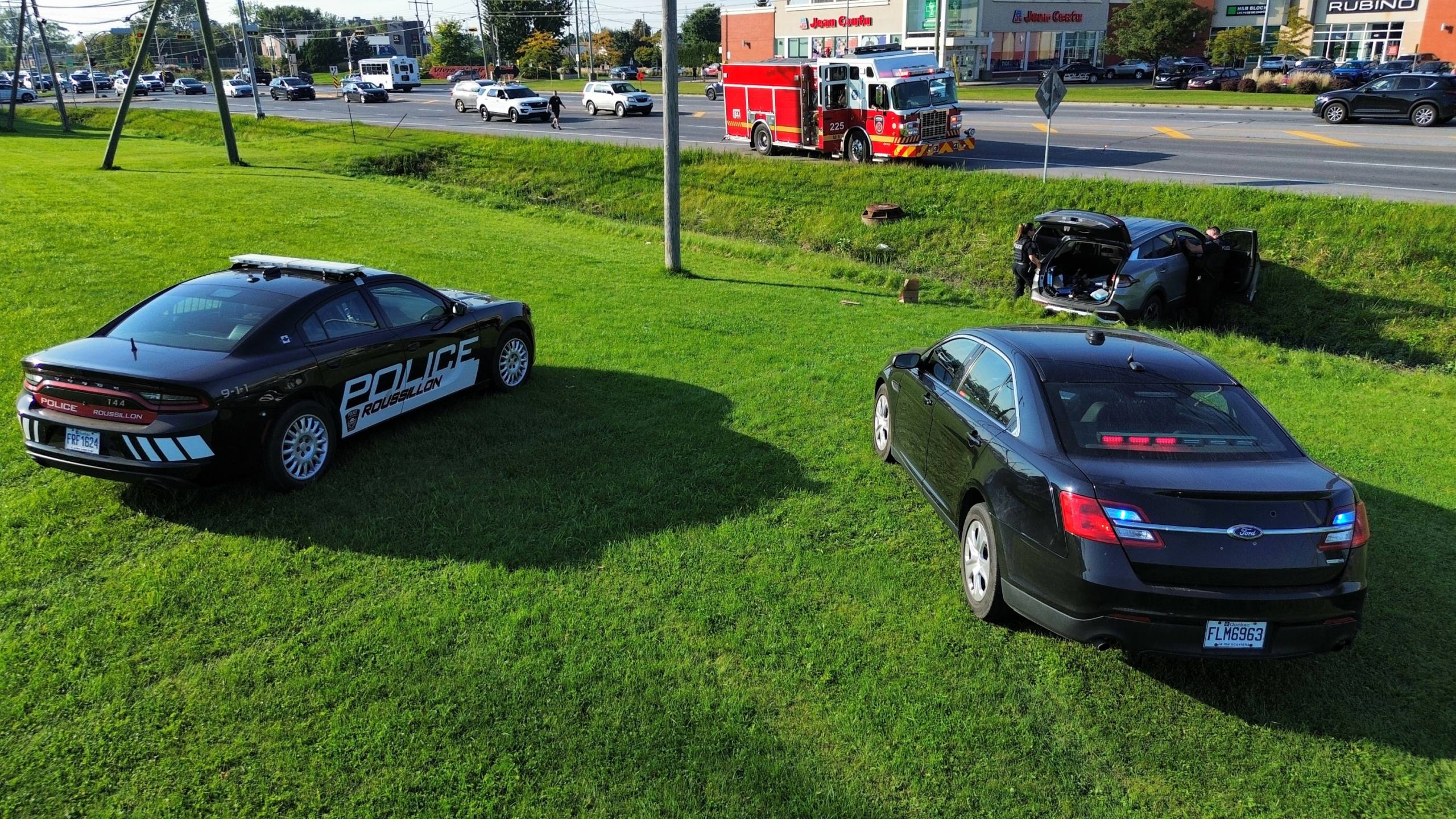 Chat dans un sommeil profond