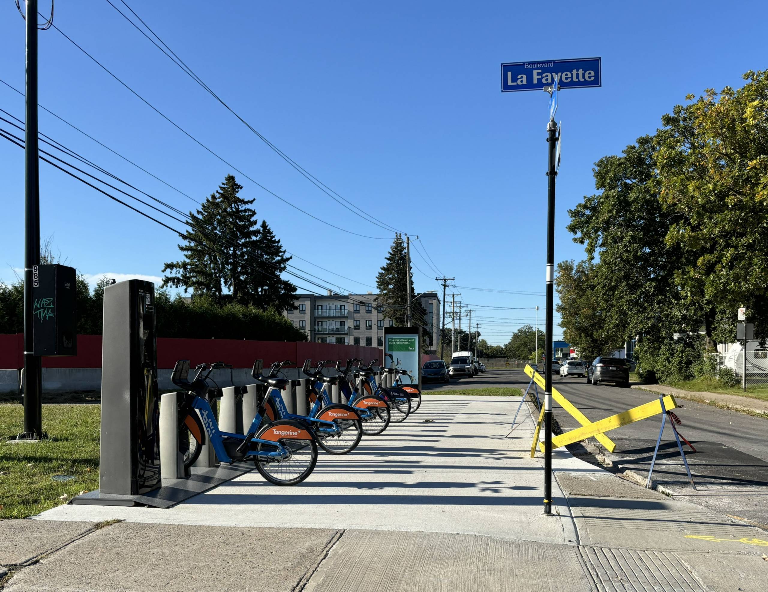 Ces chiens s’accusent entre eux