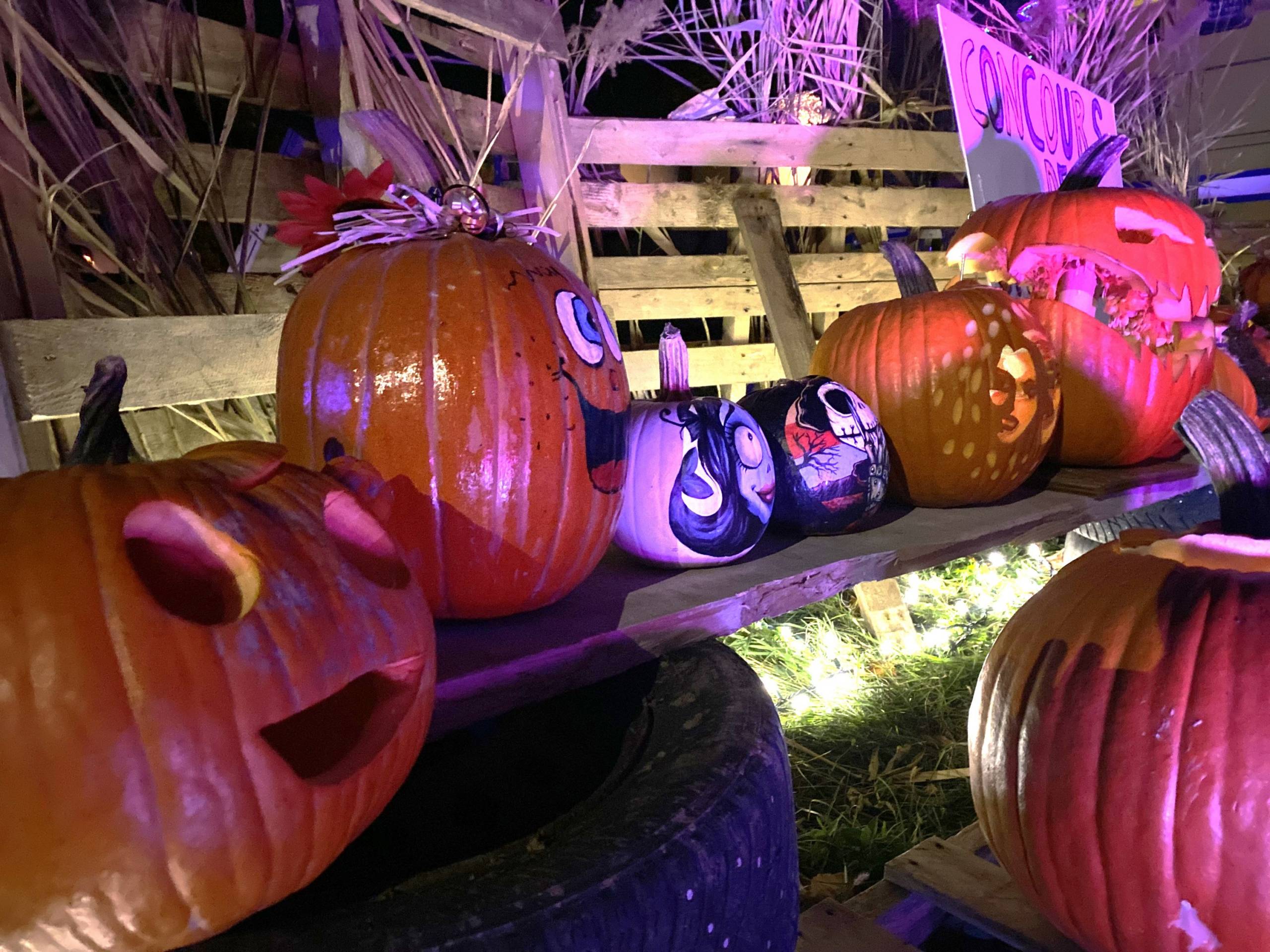 Scène triste digne d’un film Pixar