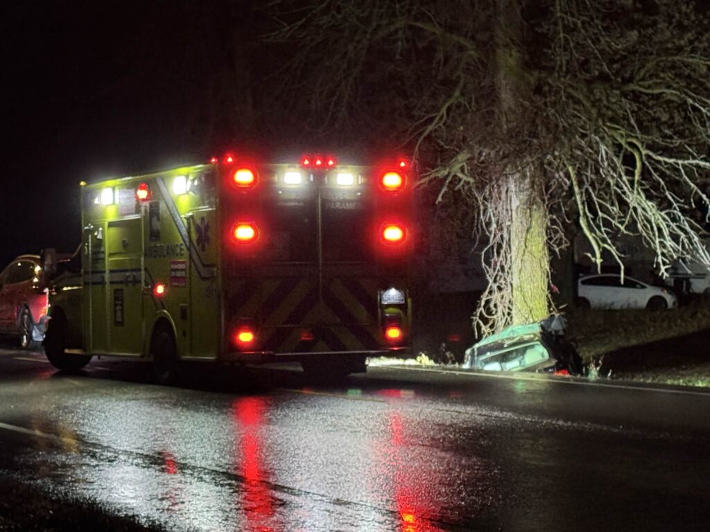 Une voiture a percuté un arbre. Une ambulance est juste à côté de l'accident