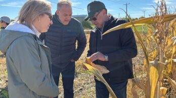 Des pratiques agricoles pour contrer les gaz à effet de serre