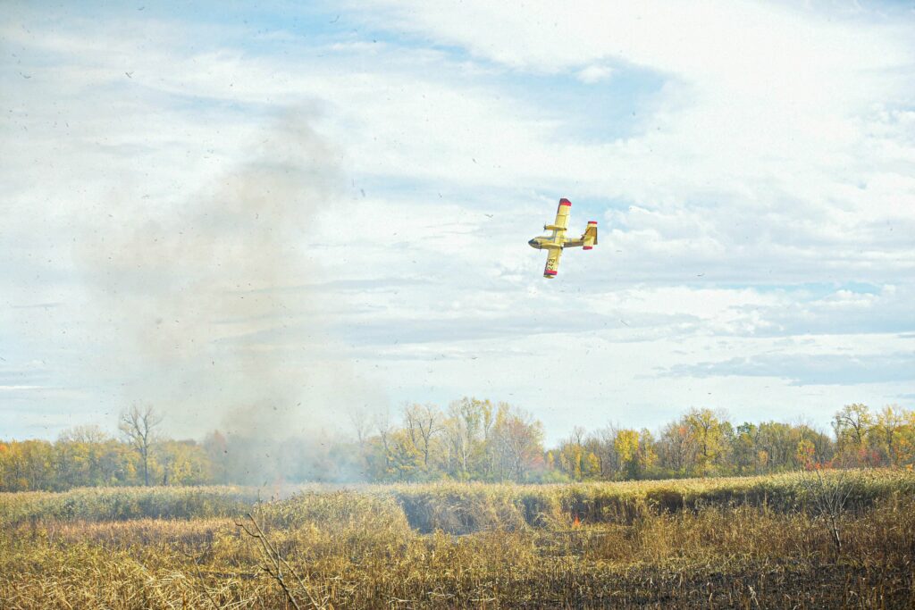 Feu de forêt à Léry : 6,2 hectares brûlés