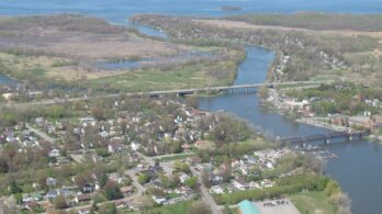 Île Saint-Bernard : actes de braconnage envers des cerfs