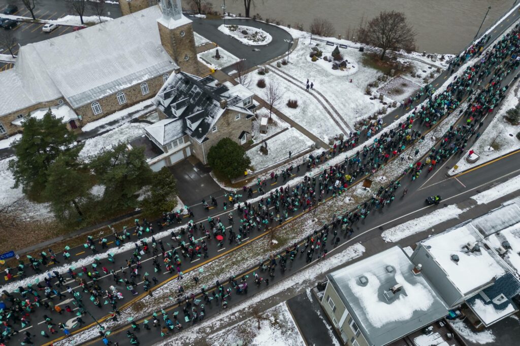 Lady, la vedette de la semaine