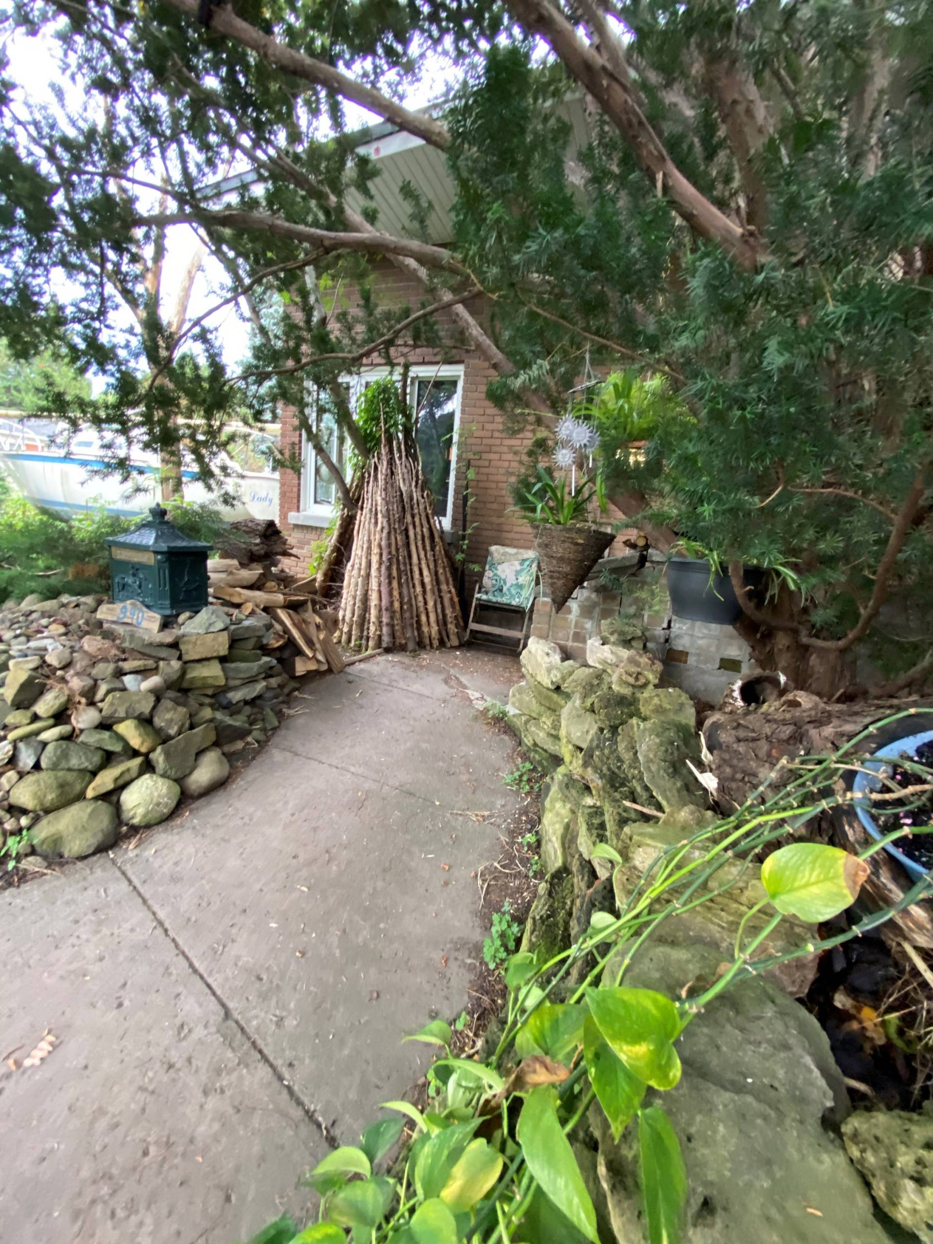 Billet d’humeur : Chien heureux, maître heureux