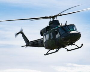 Lady, la vedette de la semaine