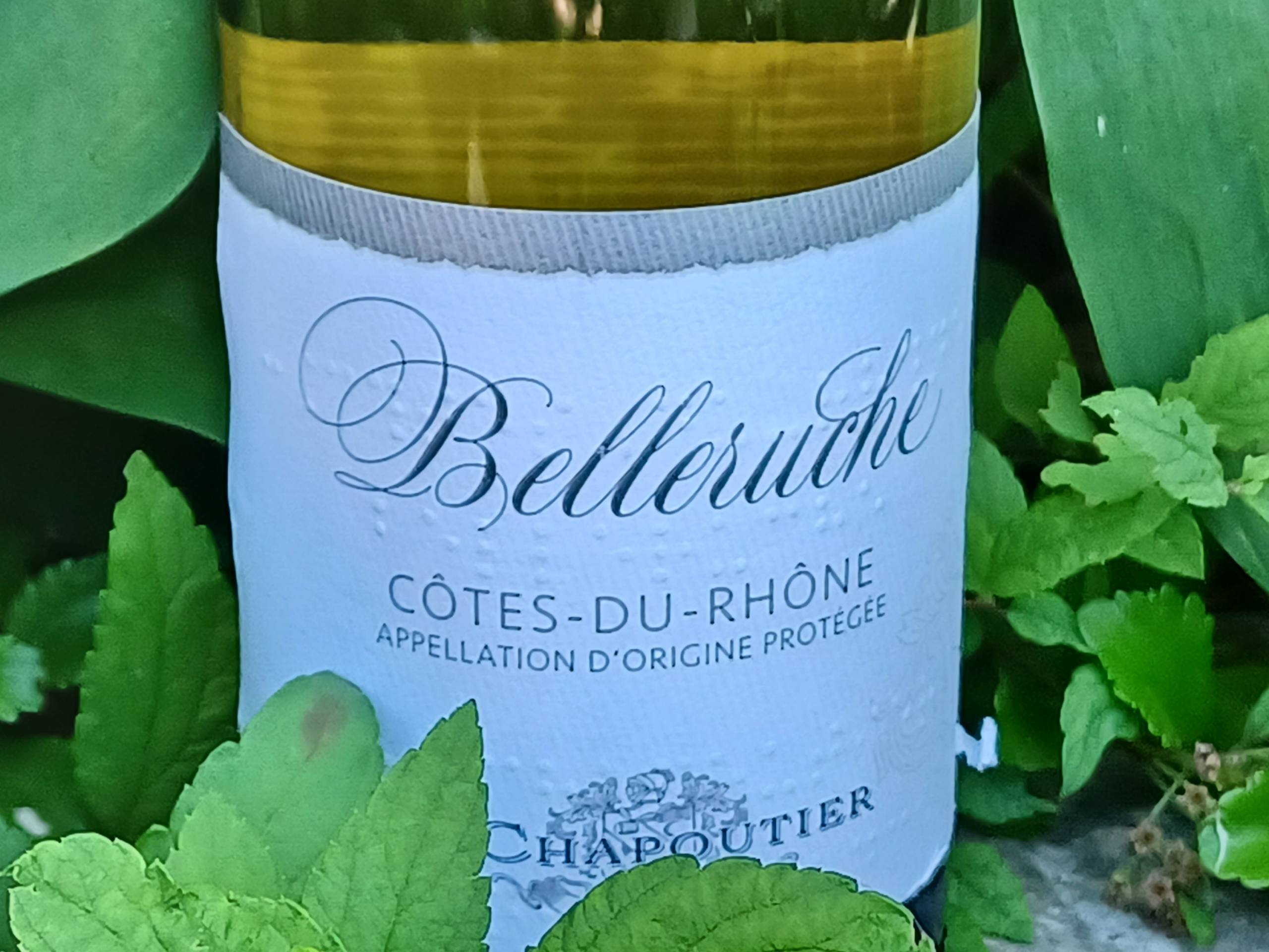 Chronique vin : des vins de trois pays pour l’été