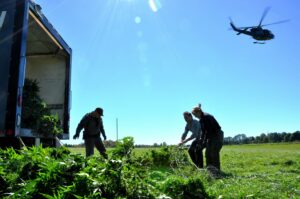 La police garde l&rsquo;oeil sur les plantations de cannabis extérieures