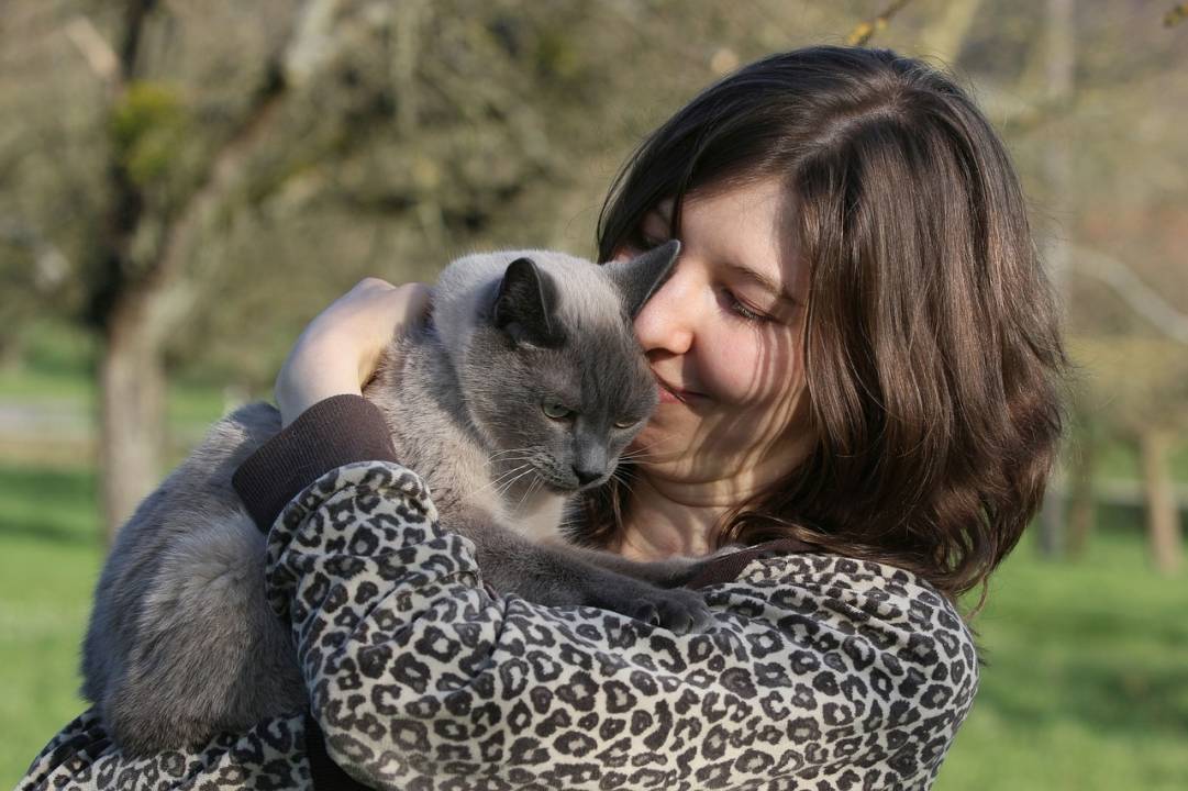 Les bienfaits thérapeutiques des animaux de compagnie