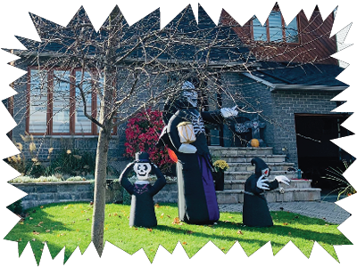 CHRONIQUE – Il y a une marmotte dans ma cour !