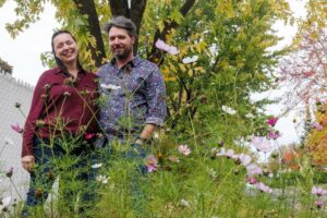 Emprise municipale fleurie : le couple de Châteauguay perd en cour municipale