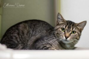 Sasha, la vedette de la semaine