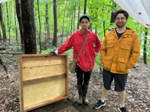Secteur Melocheville à Beauharnois : l’archéologie dans toute sa splendeur
