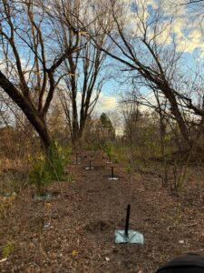 400 arbres plantés à Châteauguay