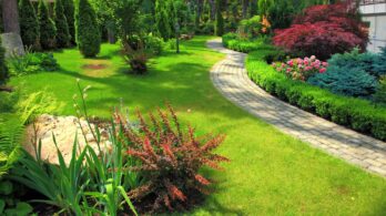 Bien aménager son terrain : quoi prévoir pour vos projets de paysagement ce printemps