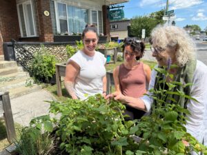 Grappiller ou cueillir les fruits mûrs des arbres