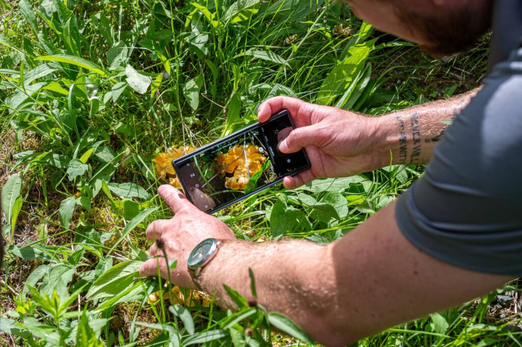 Un 5e Grand BioBlitz annuel pour Conservation de la nature Canada