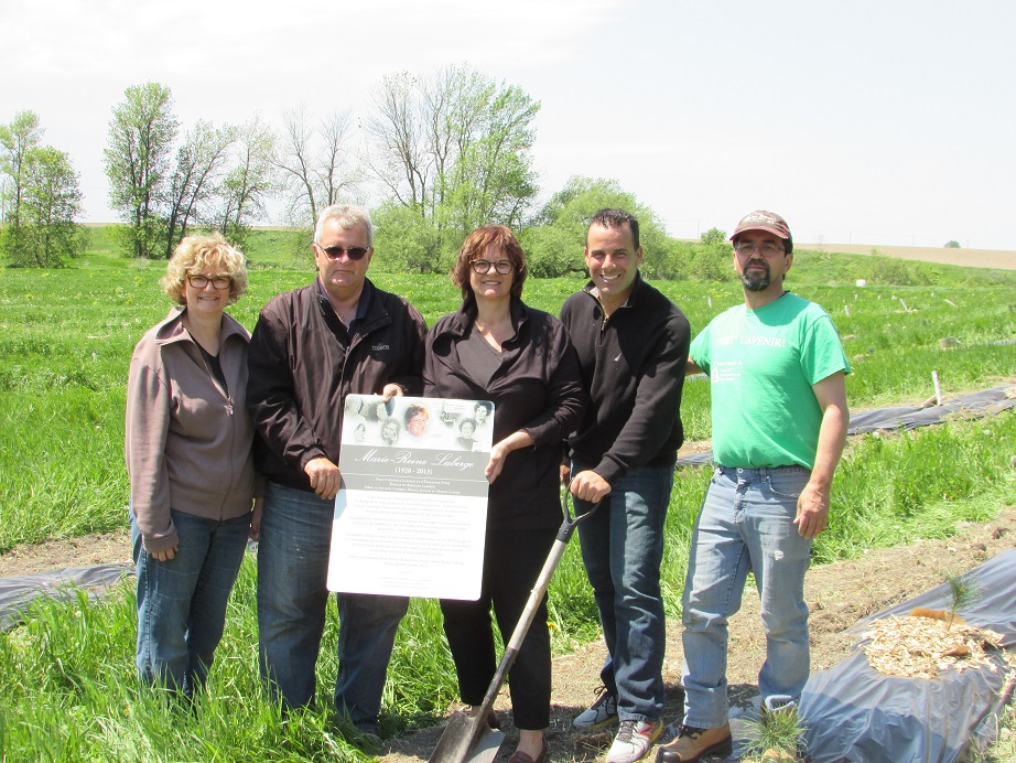 Image illustrant l'article: Plantation d’arbres