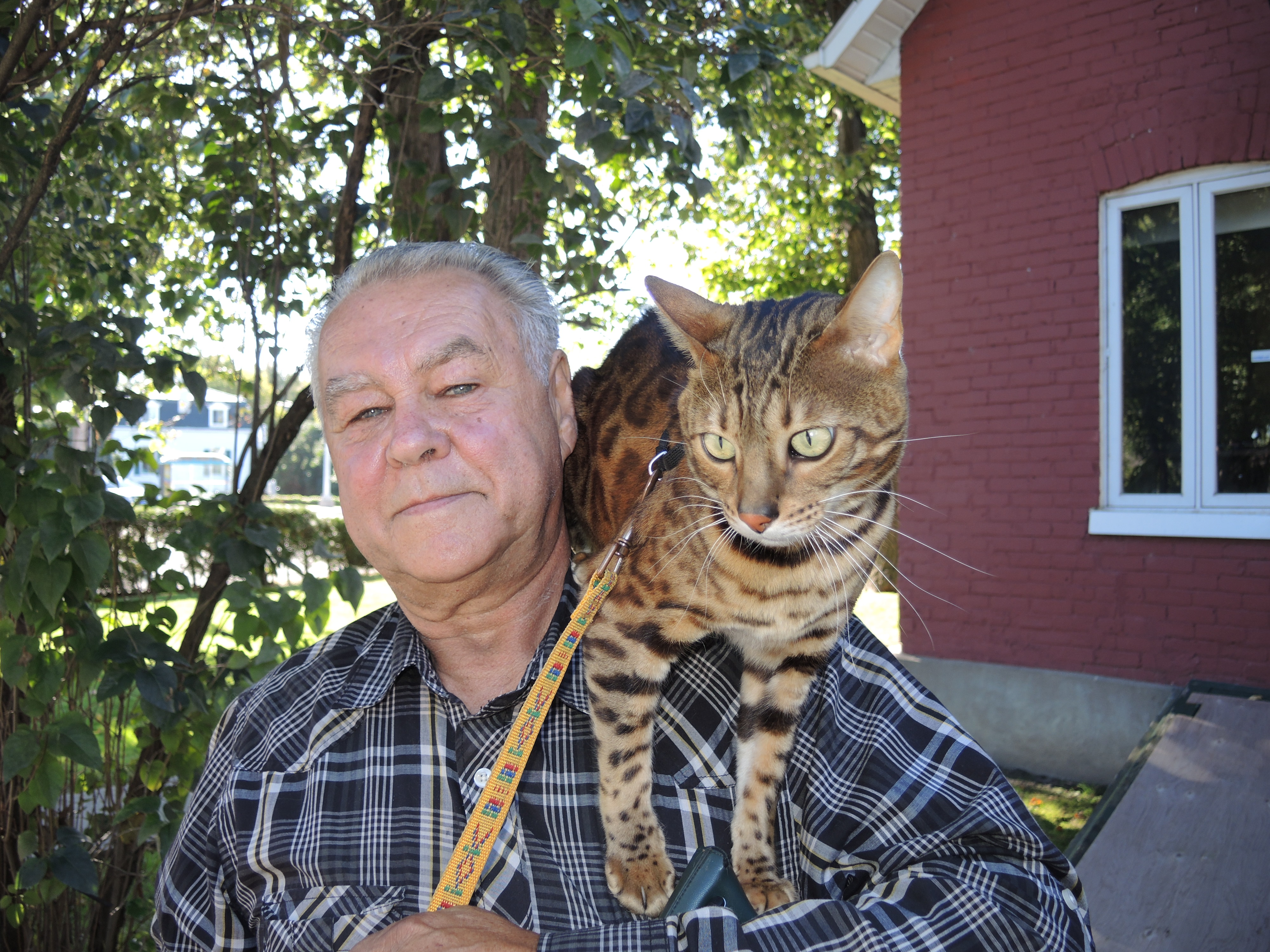 Choqué d’avoir été expulsé à cause de son chat