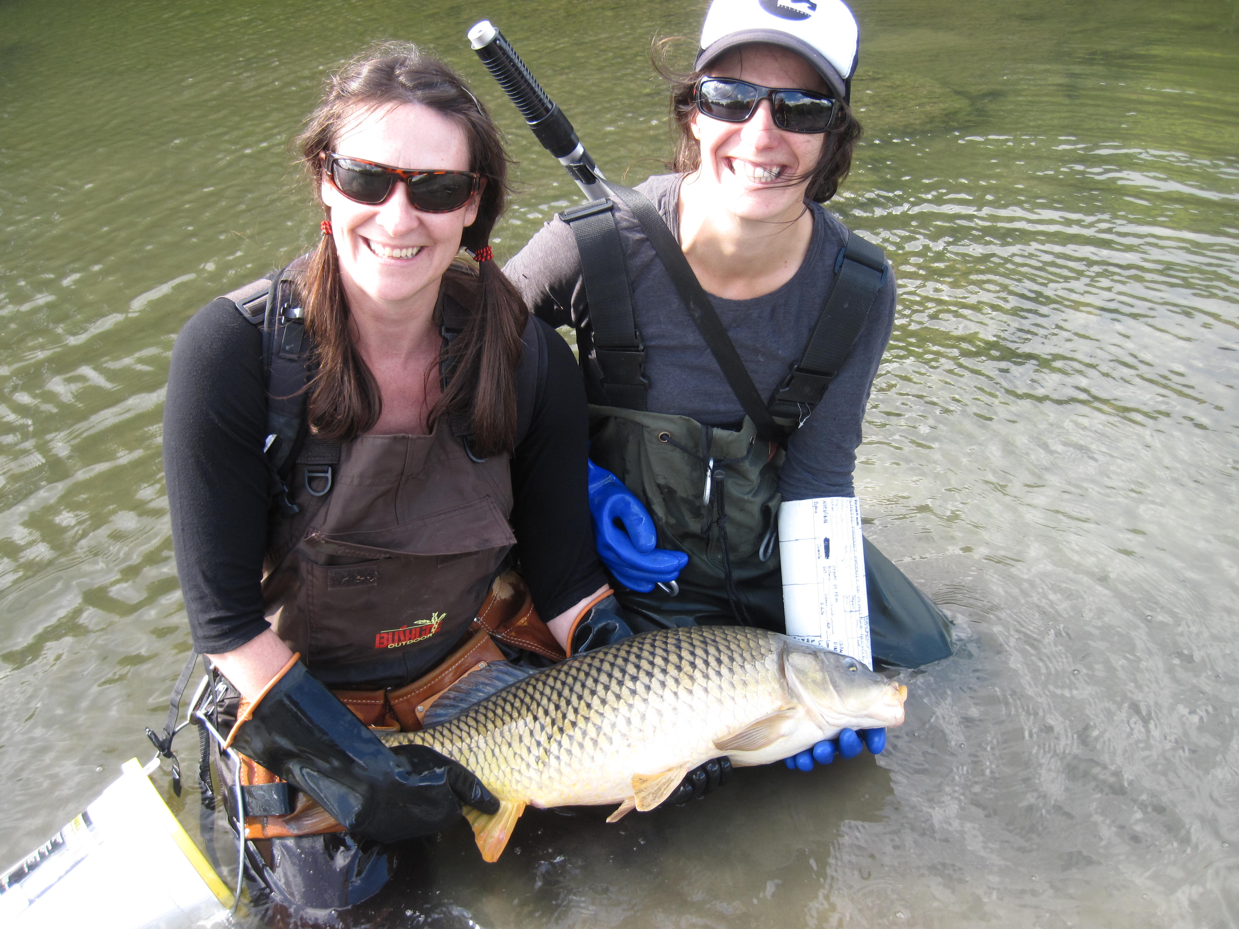 La rivière Châteauguay est mal en point