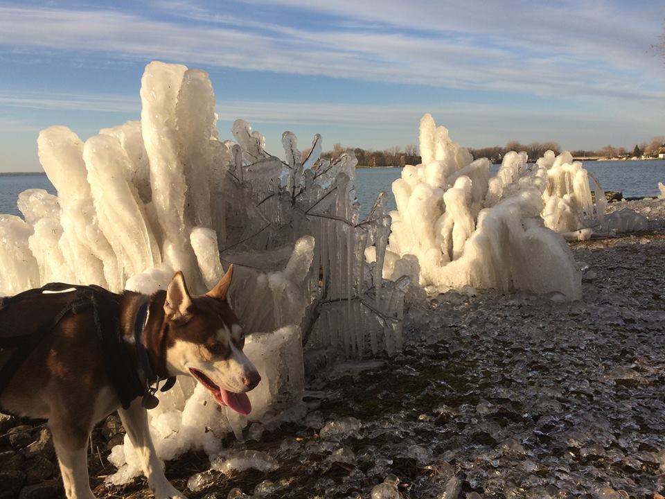 Image illustrant l'article: Oeuvres du froid au bord de l'eau à Châteauguay