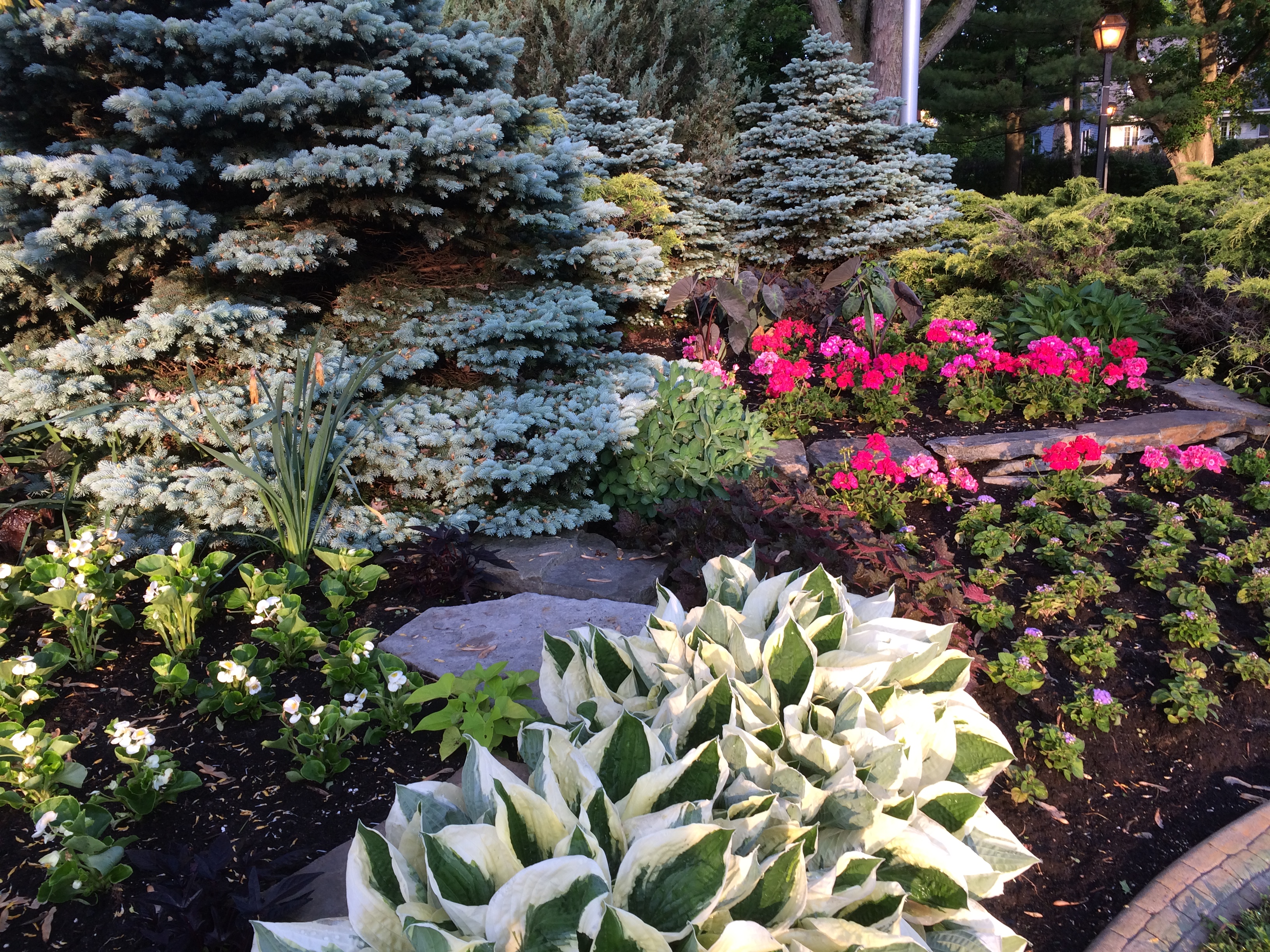 Image illustrant l'article: Les plates-bandes de Châteauguay prennent des couleurs