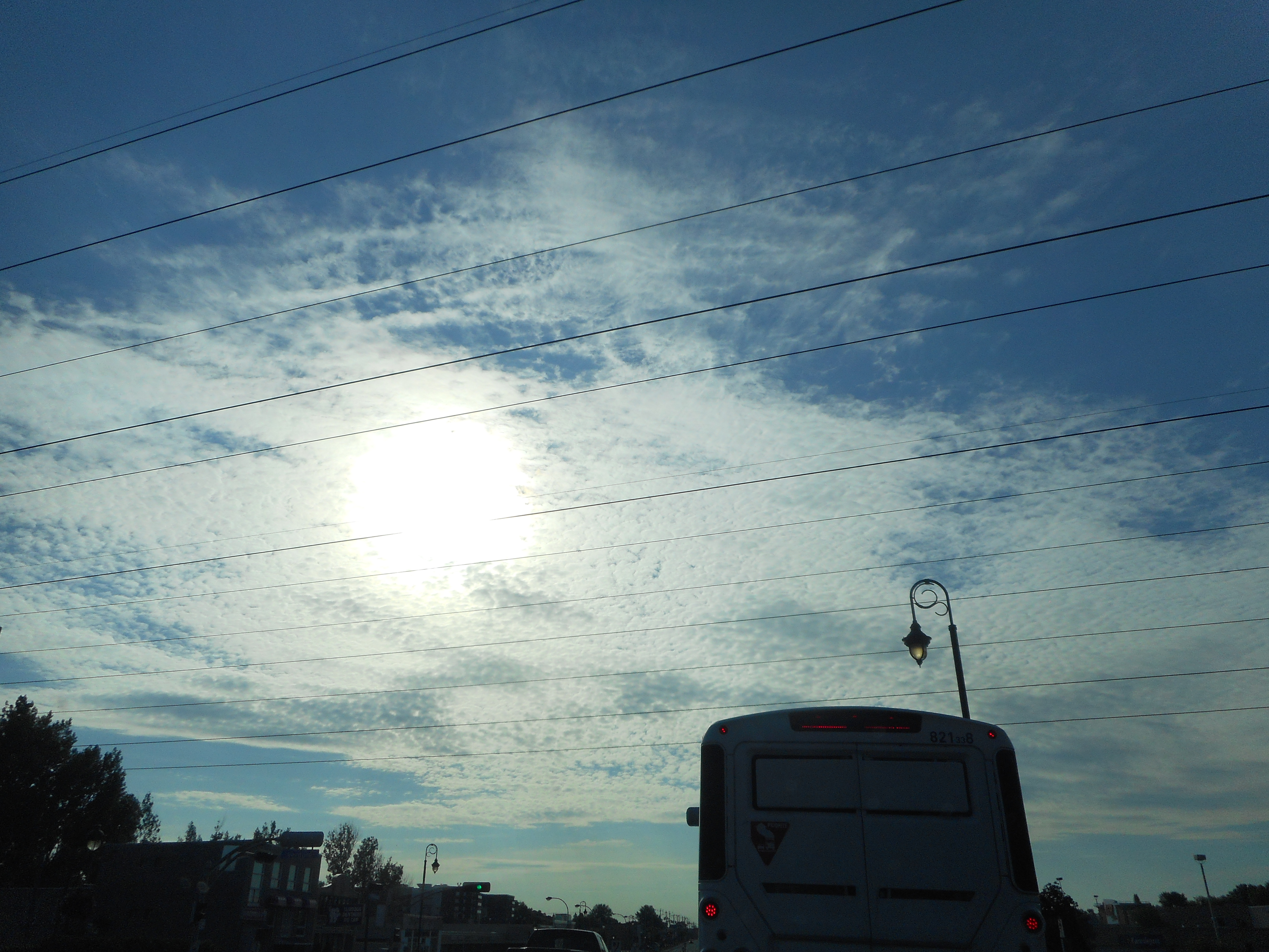 Image illustrant l'article: Pannes de climatisation : des passagers d'autobus incommodés par la chaleur