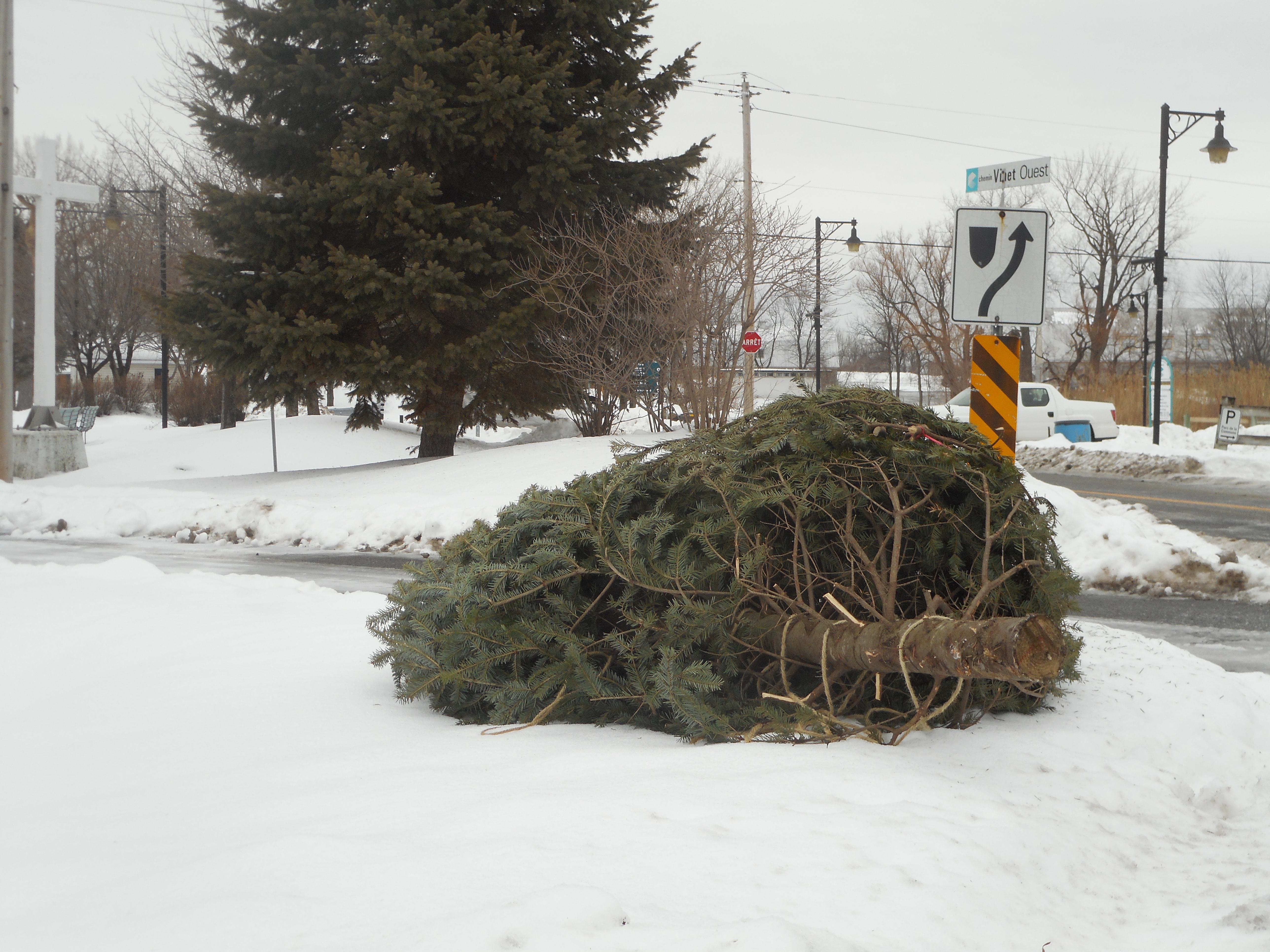 Quand jeter votre vieux sapin
