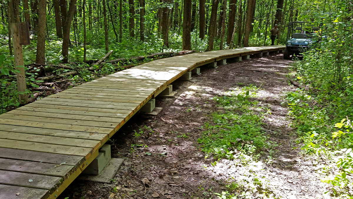 Une passerelle pour protéger des fleurs du refuge faunique Marguerite-D’Youville